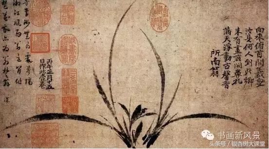 赞美兰花的诗整首,十首最经典兰花诗