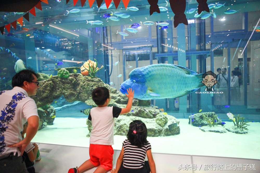 永旺梦乐城全国多少家,全亚洲最大的永旺梦乐城在哪里