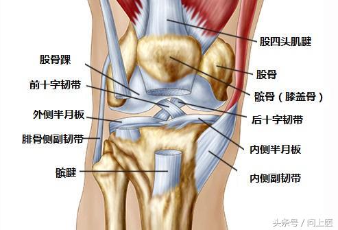 膝盖疼痛的原因和解决方法,膝盖上下楼疼痛的原因和解决方法