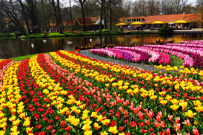 蜜月旅行推荐国内攻略,一生一次蜜月旅行