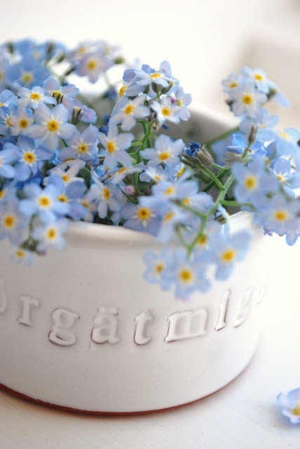 栗子姐情感问答,栗子姐情感问答全集