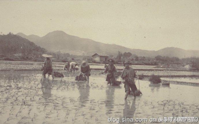 客家人妇女老照片,客家女人大襟衫