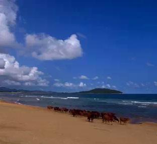 寻找广东十大最美海边,广东的海滩哪里最好玩免费
