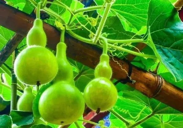 生活故事大全视频,生活故事大全