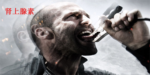 急救用药详解视频,一线救治完整流程