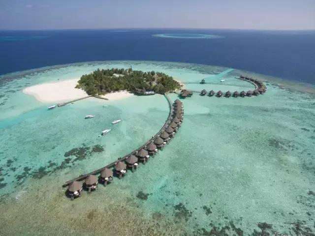 上海马尔代夫美人蕉岛,马尔代夫美人蕉岛旅游