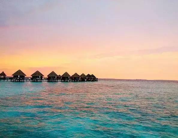 上海马尔代夫美人蕉岛,马尔代夫美人蕉岛旅游