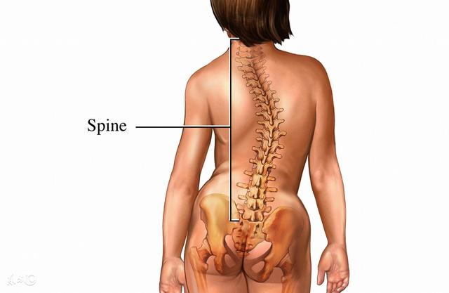 正常范围内的脊柱侧弯图片,脊柱侧弯的凸侧和凹侧