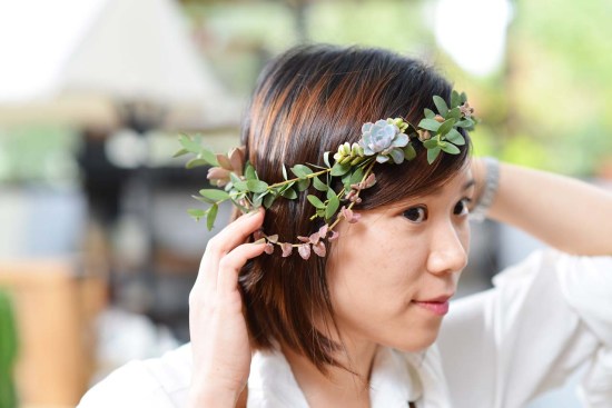 最好养的蓝色多肉,蓝石莲蓝色多肉