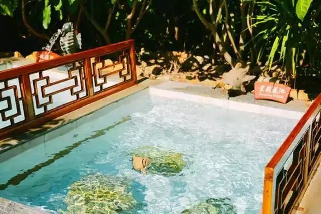 深圳周边温泉亲子游玩推荐,深圳温泉真正的温泉