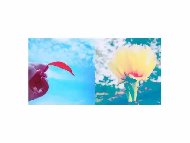 浜旀湀鍏棩濡傜害鑰岃嚦,浜旀湀鍏湀璇楁剰