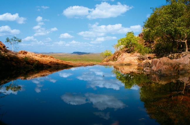 湿地和湿地动物,国外最大的湿地有什么动物