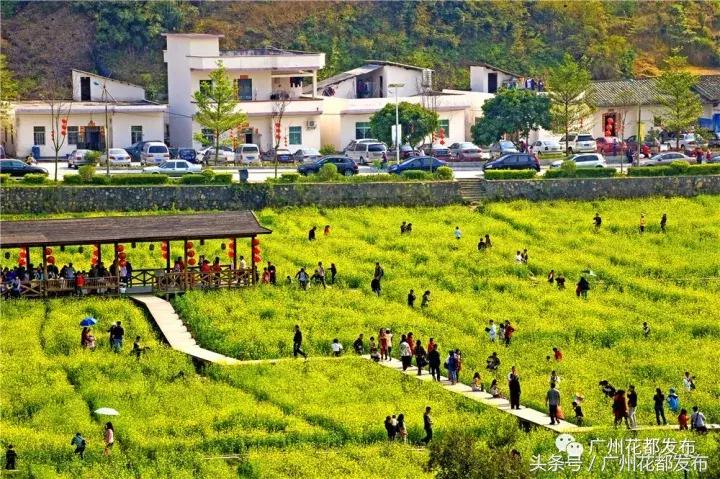 花都四街六镇,广州花都各镇街排名