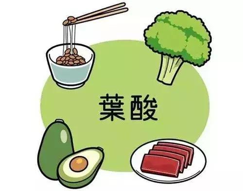 备孕补充叶酸片推荐什么牌子,备孕期间男士需要补充叶酸吗