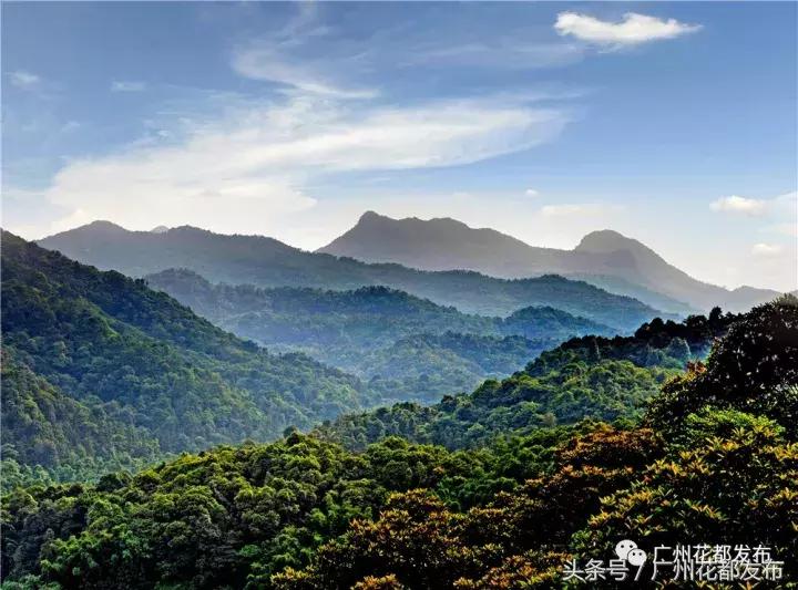 花都四街六镇,广州花都各镇街排名