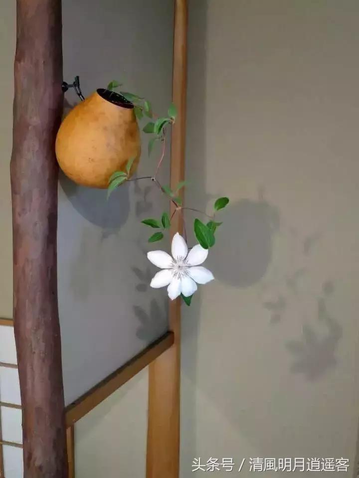 苏东坡五句诗词道尽人生,苏轼看透人生的十首诗句