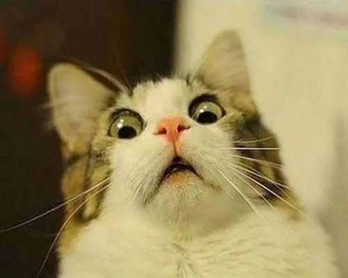 从秦始皇到皇太极，他演电视剧把历史学了个遍，可以转行当老师了