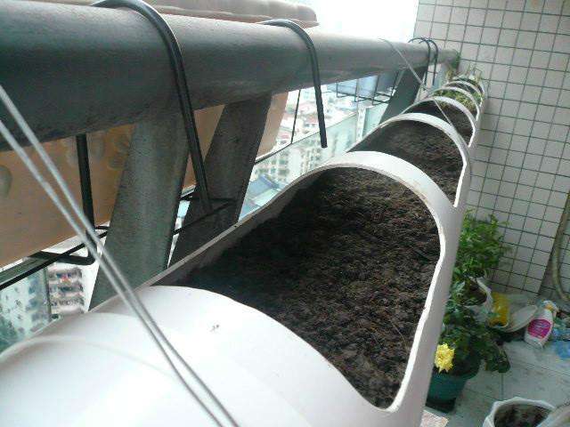 水管打洞种菜,阳台ppr管种菜