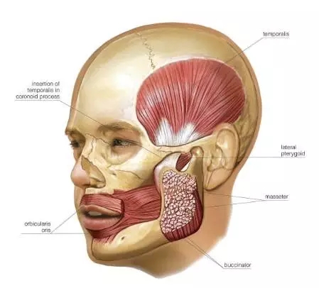 福克斯ecoboost125发动机怎么样,福克斯2015款ecoboost125耗油
