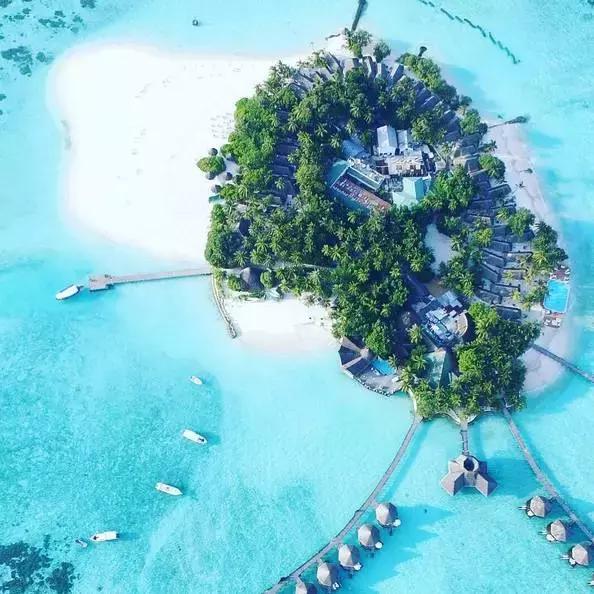 上海马尔代夫美人蕉岛,马尔代夫美人蕉岛旅游