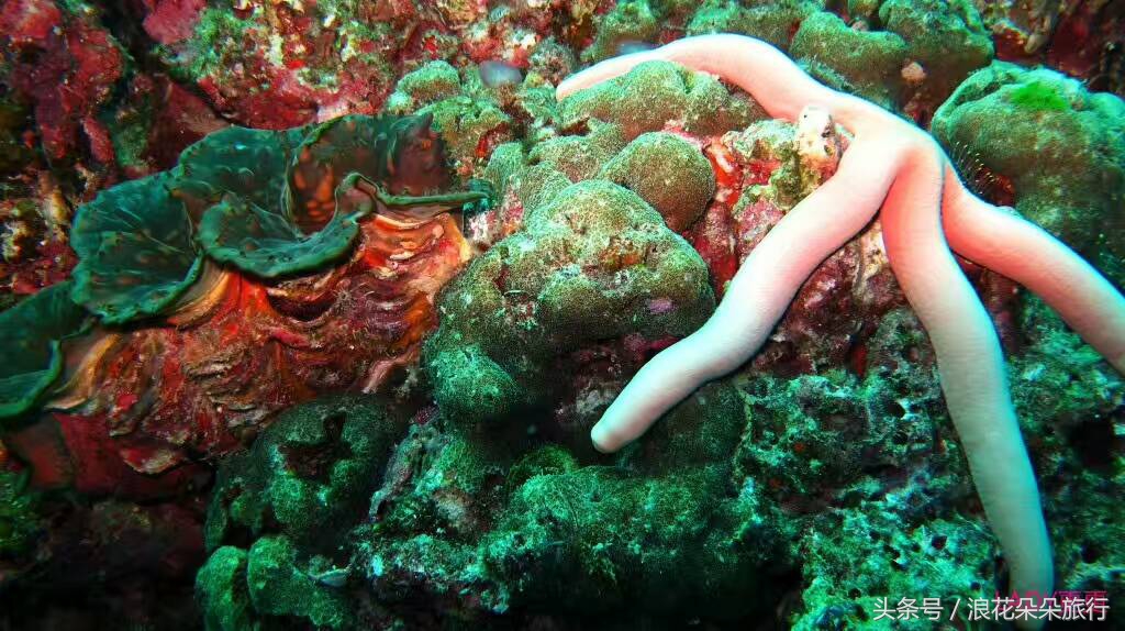 到泰国转机的人需要注意些什么,十二月份去泰国旅游要注意什么