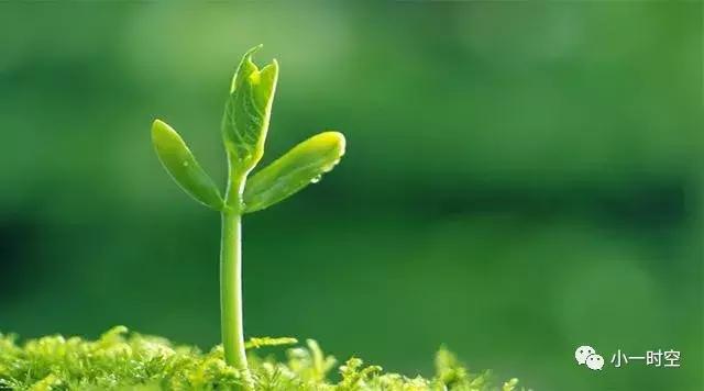 儿童消化不良导致便秘,儿童生病后便秘