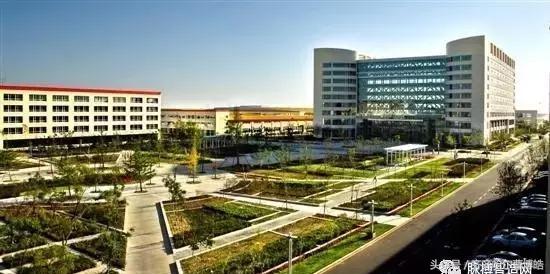 机床十八罗汉现状,十八罗汉机床加工视频