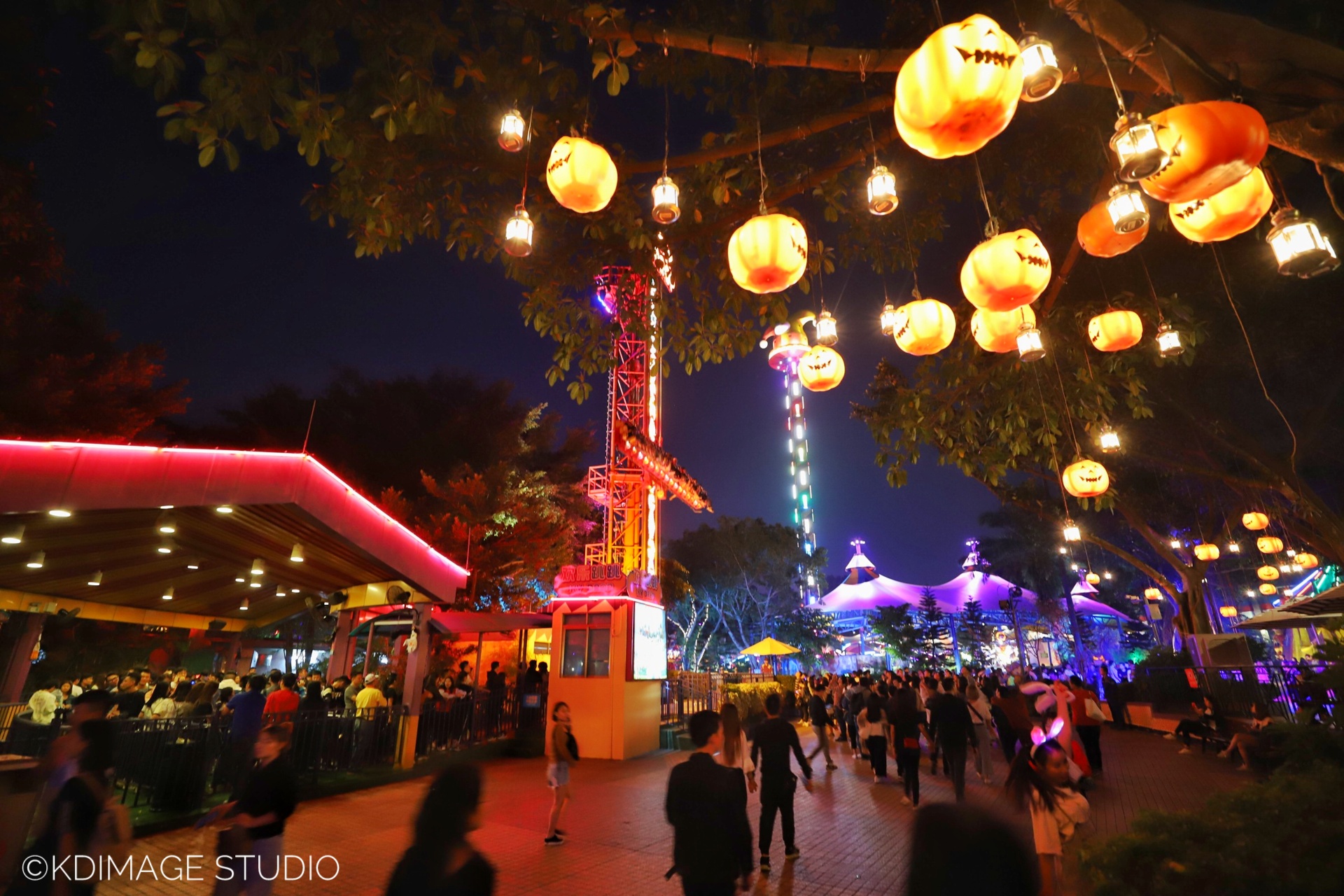 久违的狂欢：和许巍一起过长隆欢乐万圣节