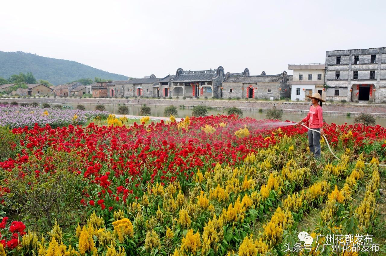 花都四街六镇,广州花都各镇街排名
