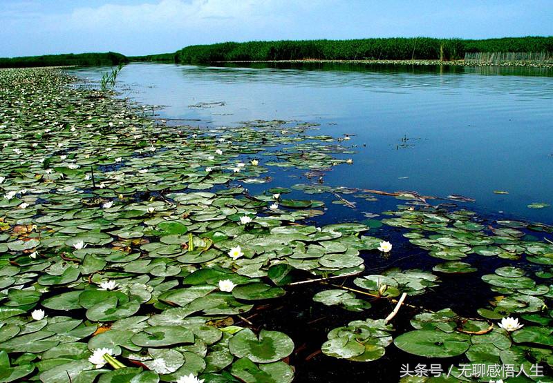 四川省绵阳市盐亭县学校,四川省绵阳市盐亭县新闻