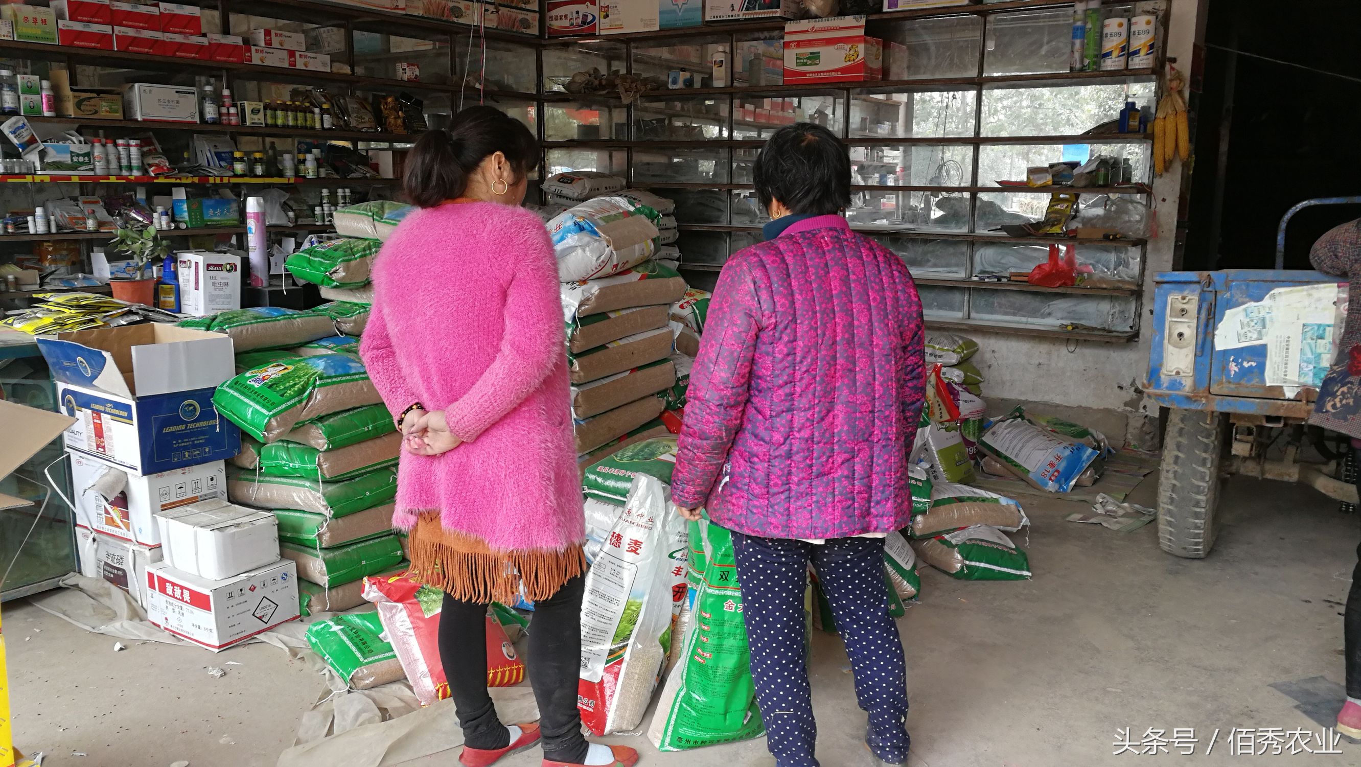 农村有什么生意比较好做的,农村有面子的生意