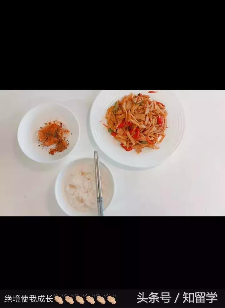 留学生与番茄炒蛋,一盘番茄炒蛋完整版