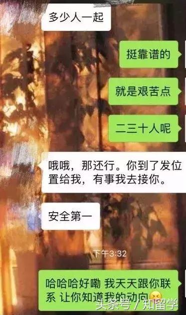 留学生与番茄炒蛋,一盘番茄炒蛋完整版