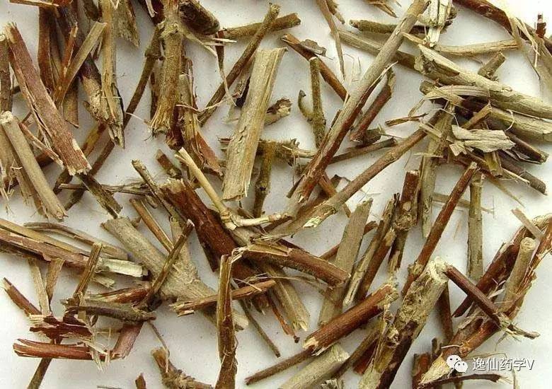 一个植物多个来源的中药,功效相似的药材有哪些中药