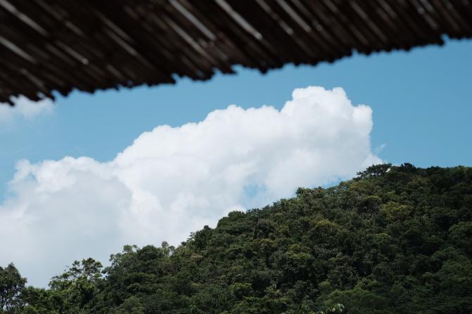 一个台湾资深媒体人眼中的两岸茶界十年