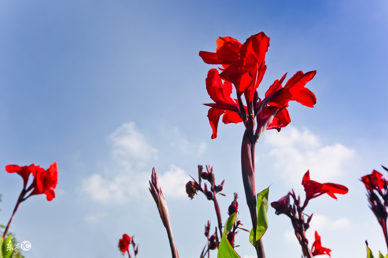天下无癌论潘德孚,天下无癌论书