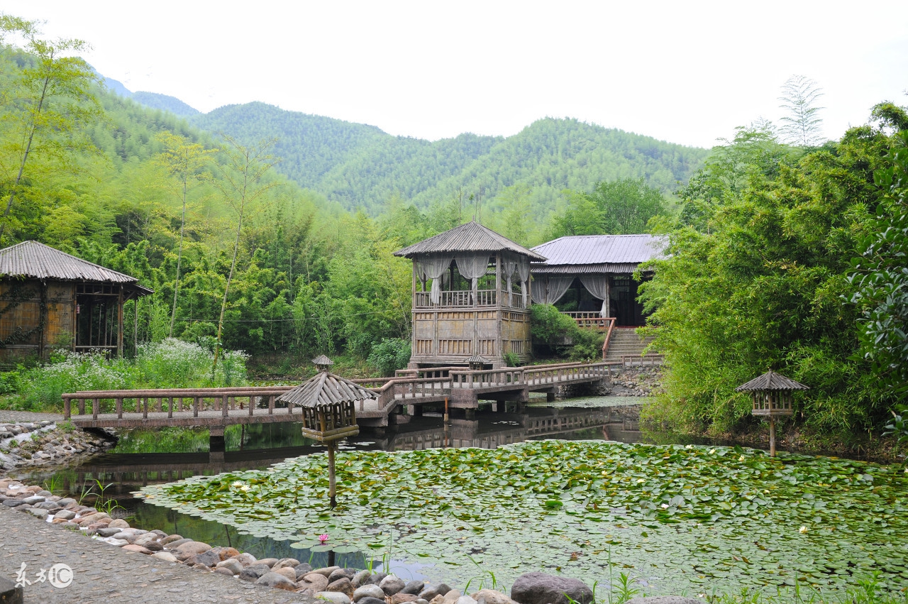 天下无癌论潘德孚,天下无癌论书