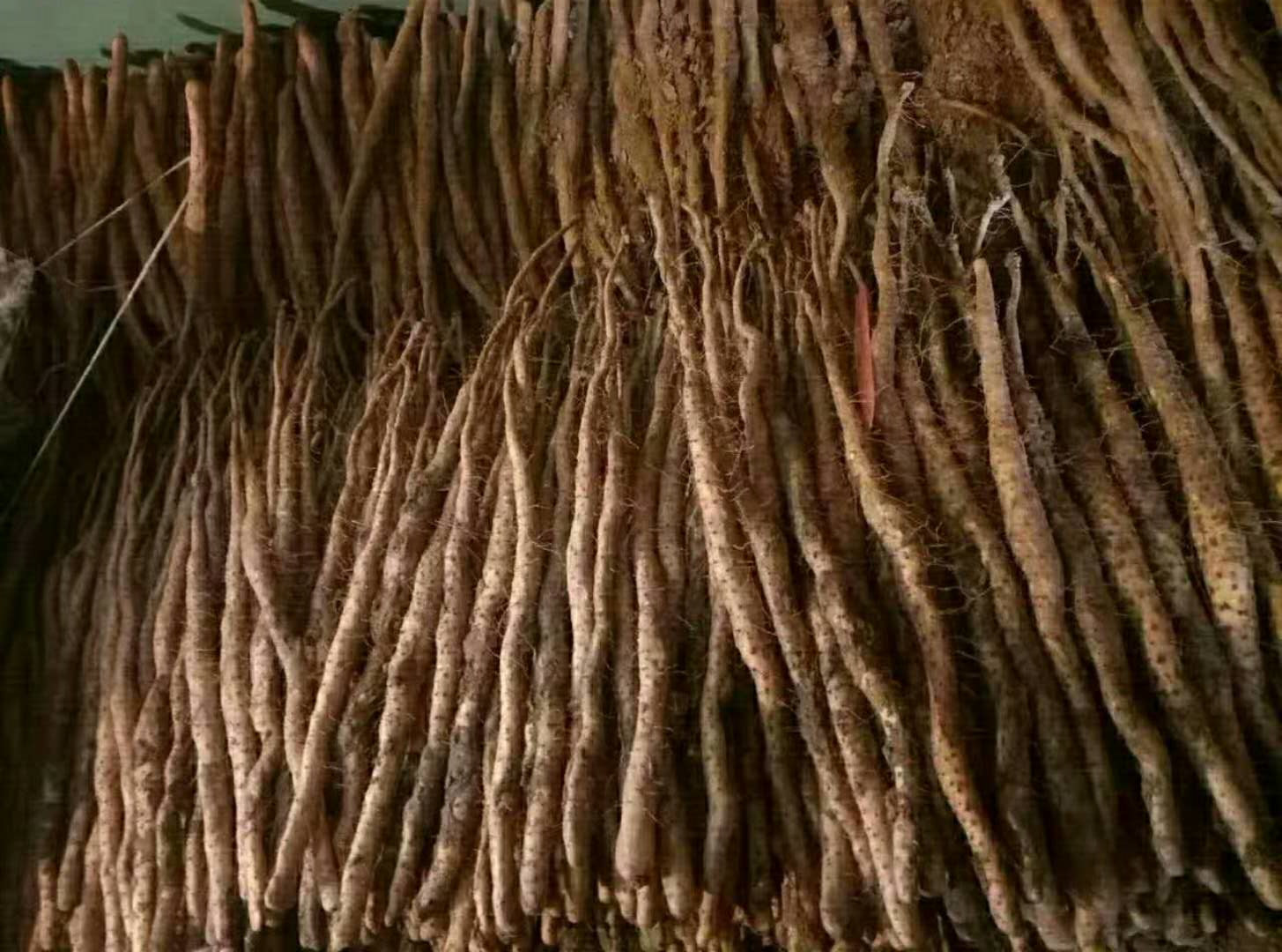 山药给孩子怎样吃最好,山药的几种小孩食用方法