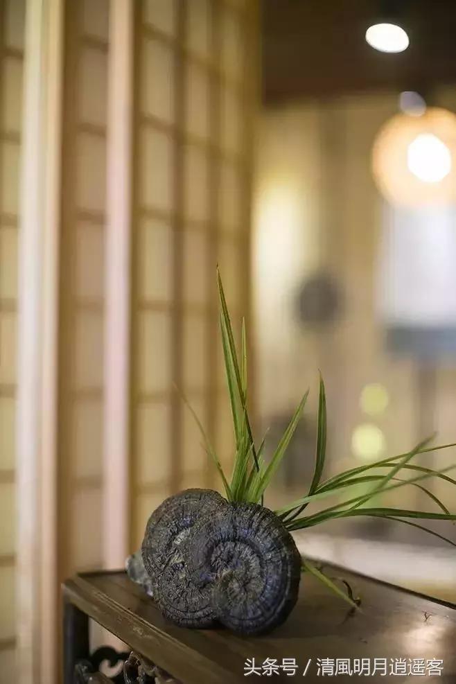 苏东坡五句诗词道尽人生,苏轼看透人生的十首诗句