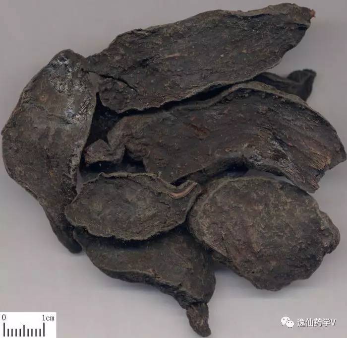 一个植物多个来源的中药,功效相似的药材有哪些中药