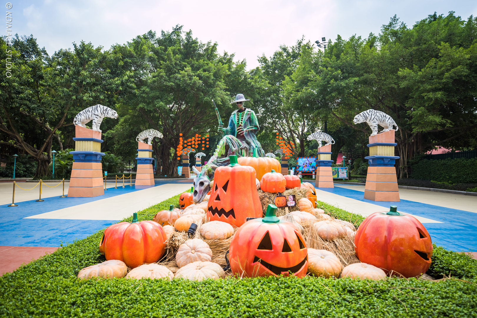 久违的狂欢：和许巍一起过长隆欢乐万圣节