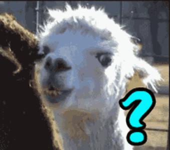 金拱门是哪里的品牌,金拱门是指什么