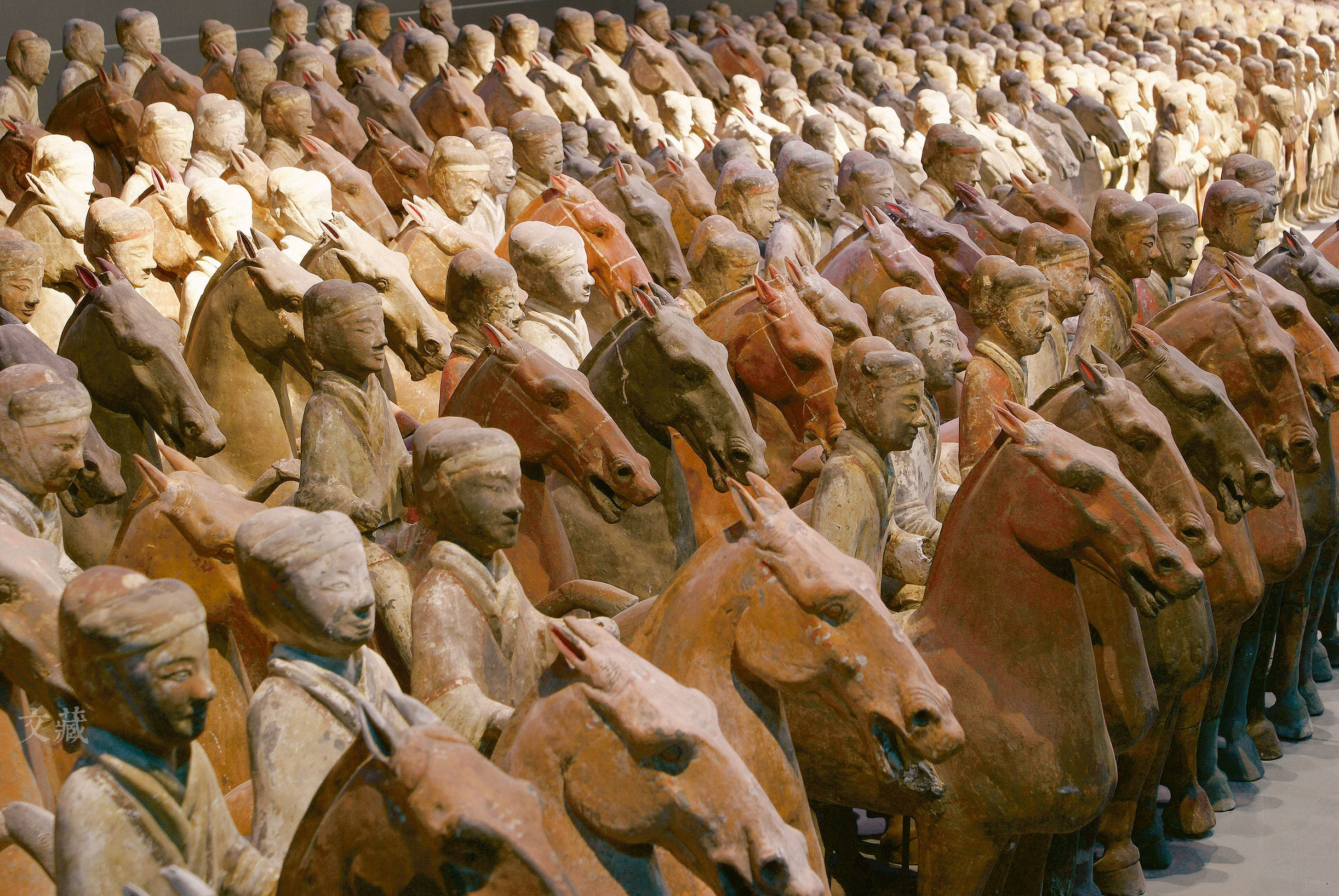 马进化,马进化了多少年