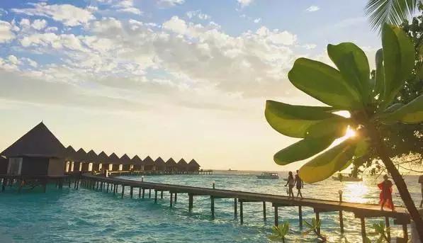 上海马尔代夫美人蕉岛,马尔代夫美人蕉岛旅游