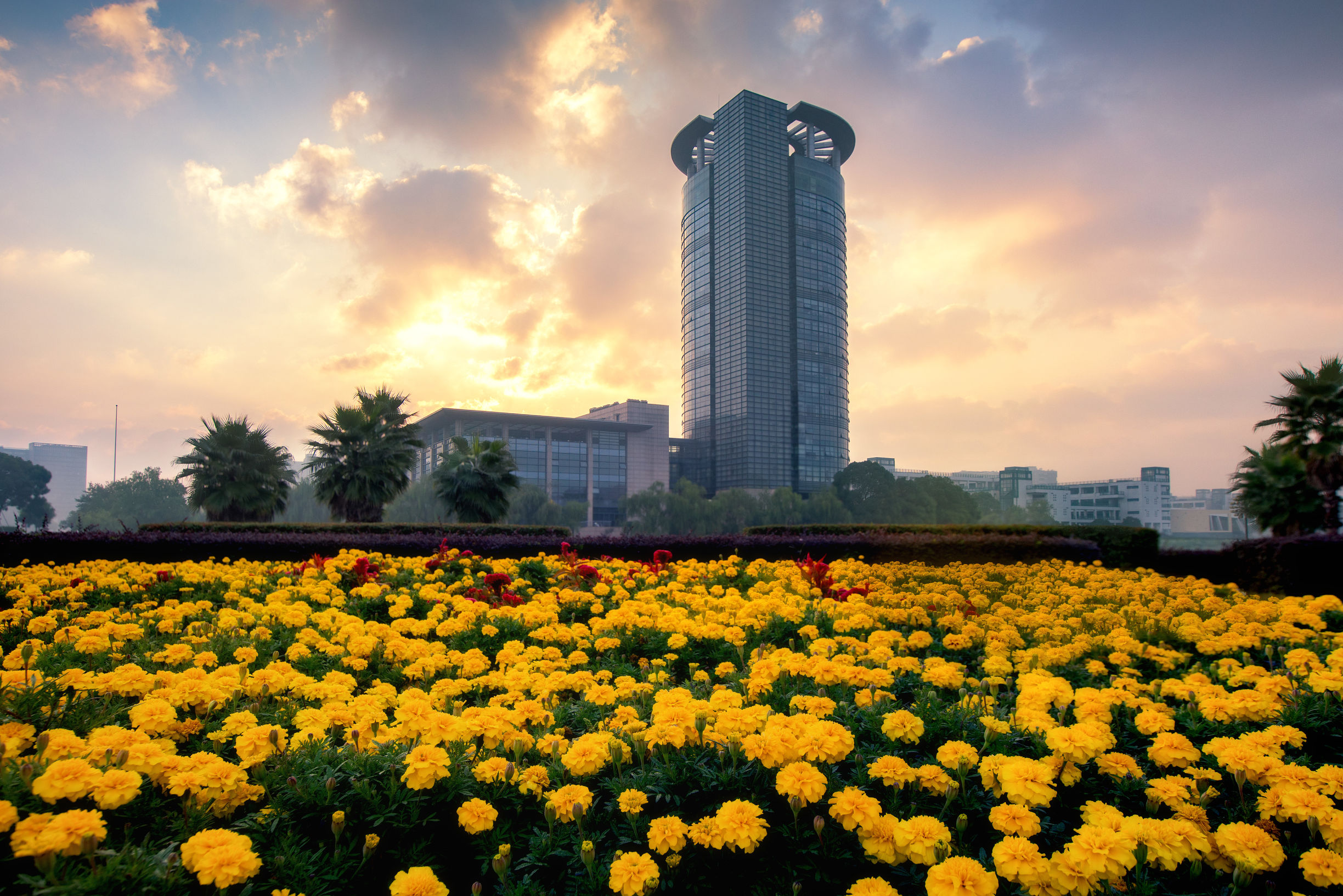 浙江大学2018年广东省综合评价招生简章发布，超豪华国际校区等你来！