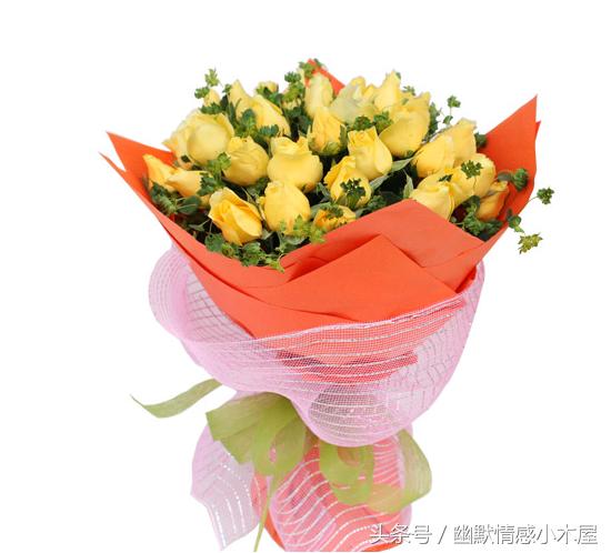 女朋友生气送什么花合适,求女朋友别生气送什么花合适