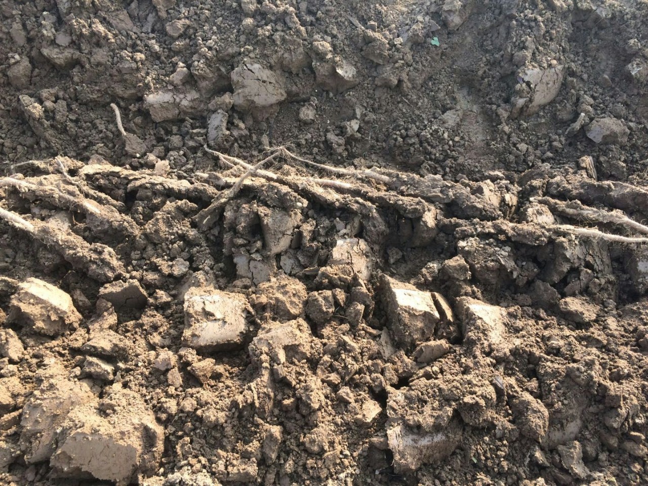 山药给孩子怎样吃最好,山药的几种小孩食用方法