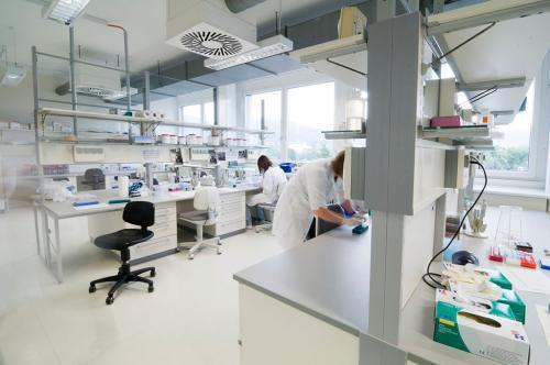 带珍珠粉的海藻面膜,极致海藻面膜