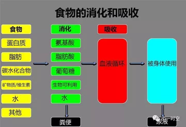 儿童消化不良导致便秘,儿童生病后便秘