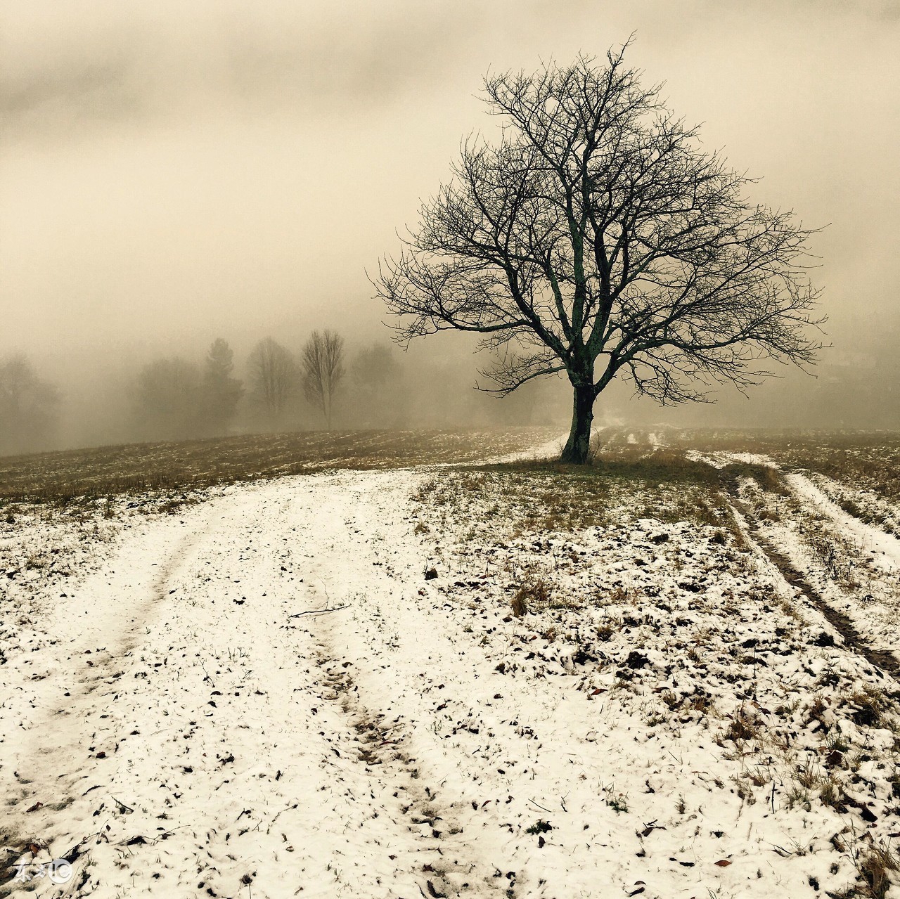 谁是词人中的小李白?看七首旷达之词就知道了!无愧宋词第一人!